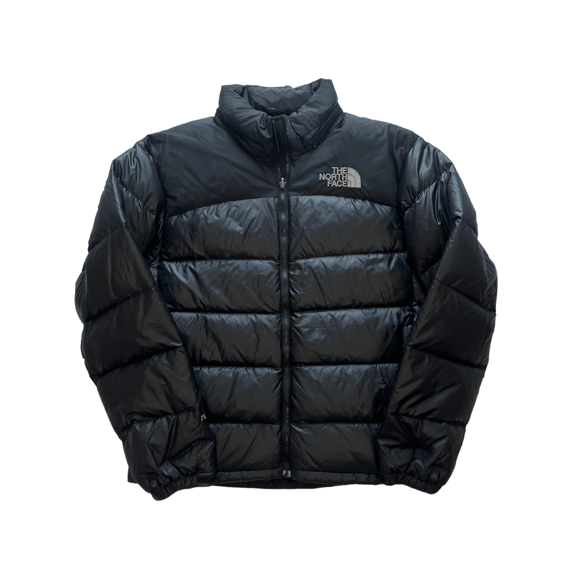 North face sales bubble coat