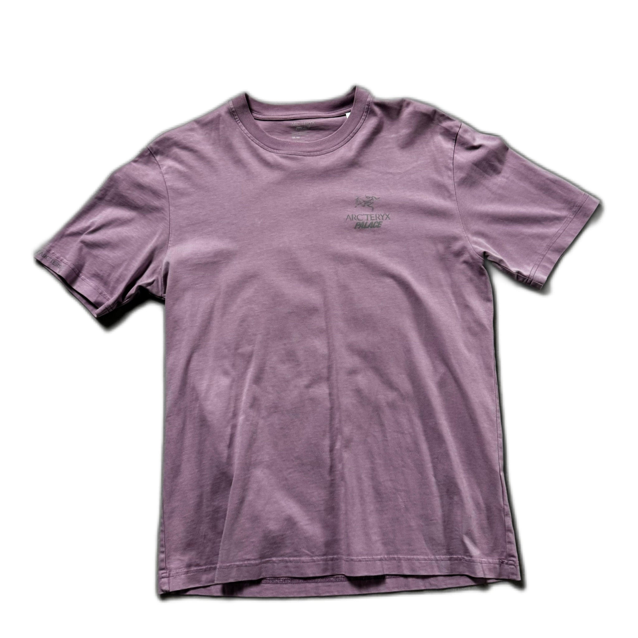 Purple Palace x Arc'Teryx Tee - M