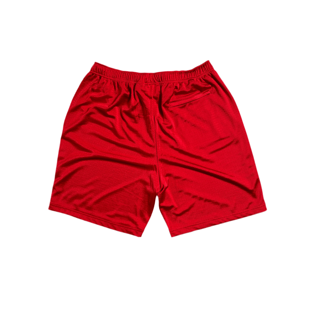 Brand New Supreme x Champion Shorts - M