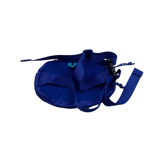 Blue + Green Patagonia Bum/ Waist Bag - The Streetwear Studio